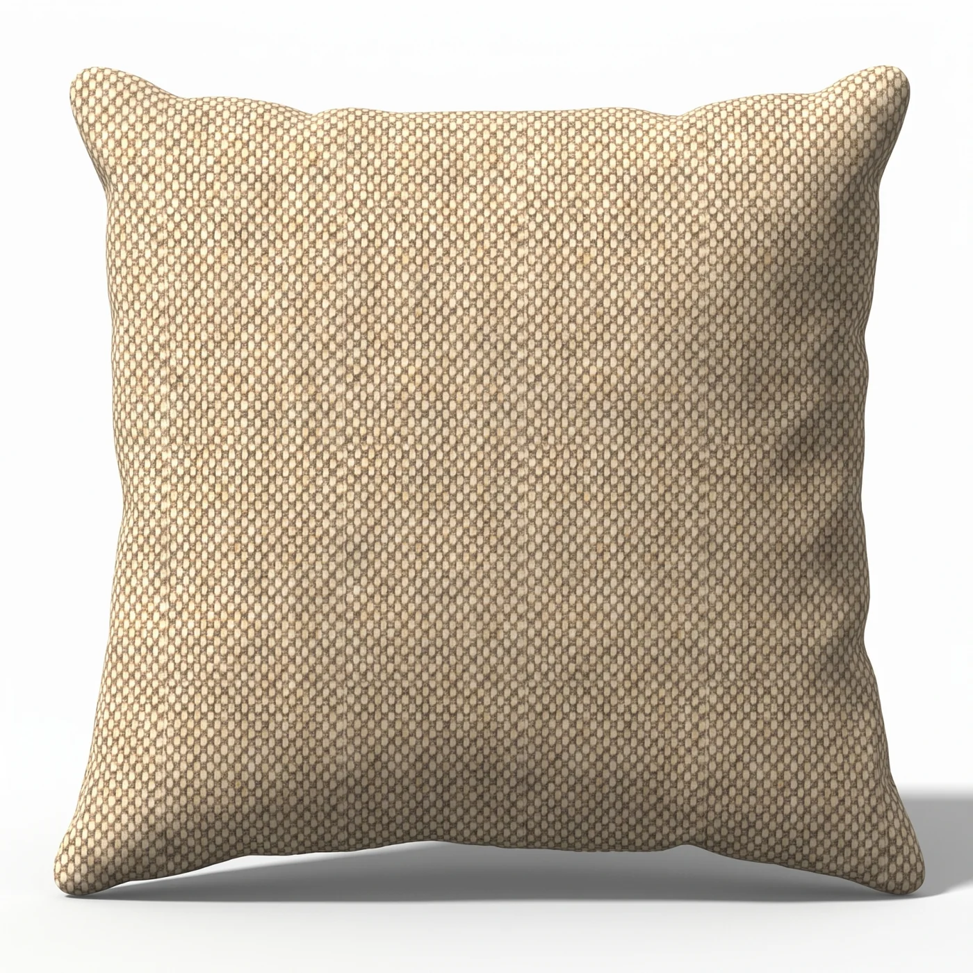 RAW CANVAS outdoor throw pillow